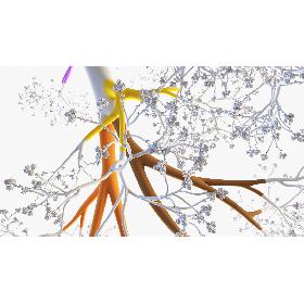 3D Archmodels vol. 212
